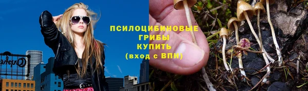 соль ск Осинники