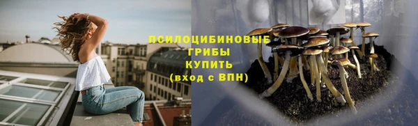 MESCALINE Нязепетровск