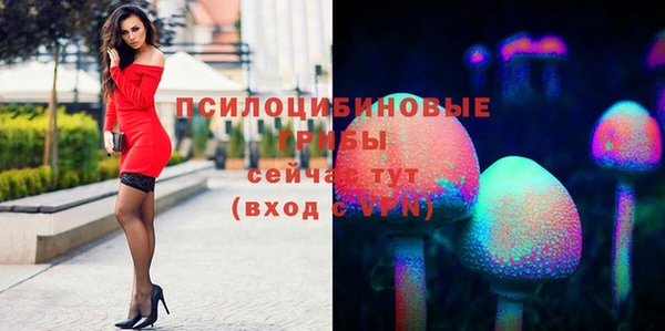 MESCALINE Нязепетровск