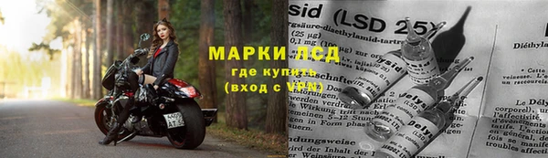 эйфоретик Осташков