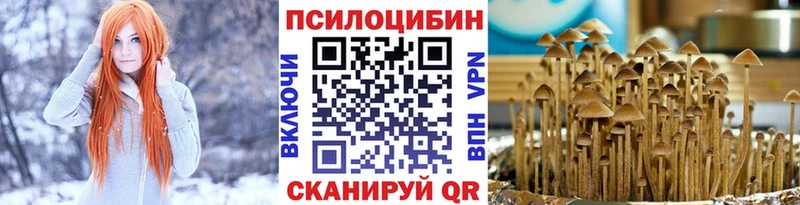 KRAKEN зеркало  Томари  Псилоцибиновые грибы мицелий  купить наркотики цена 